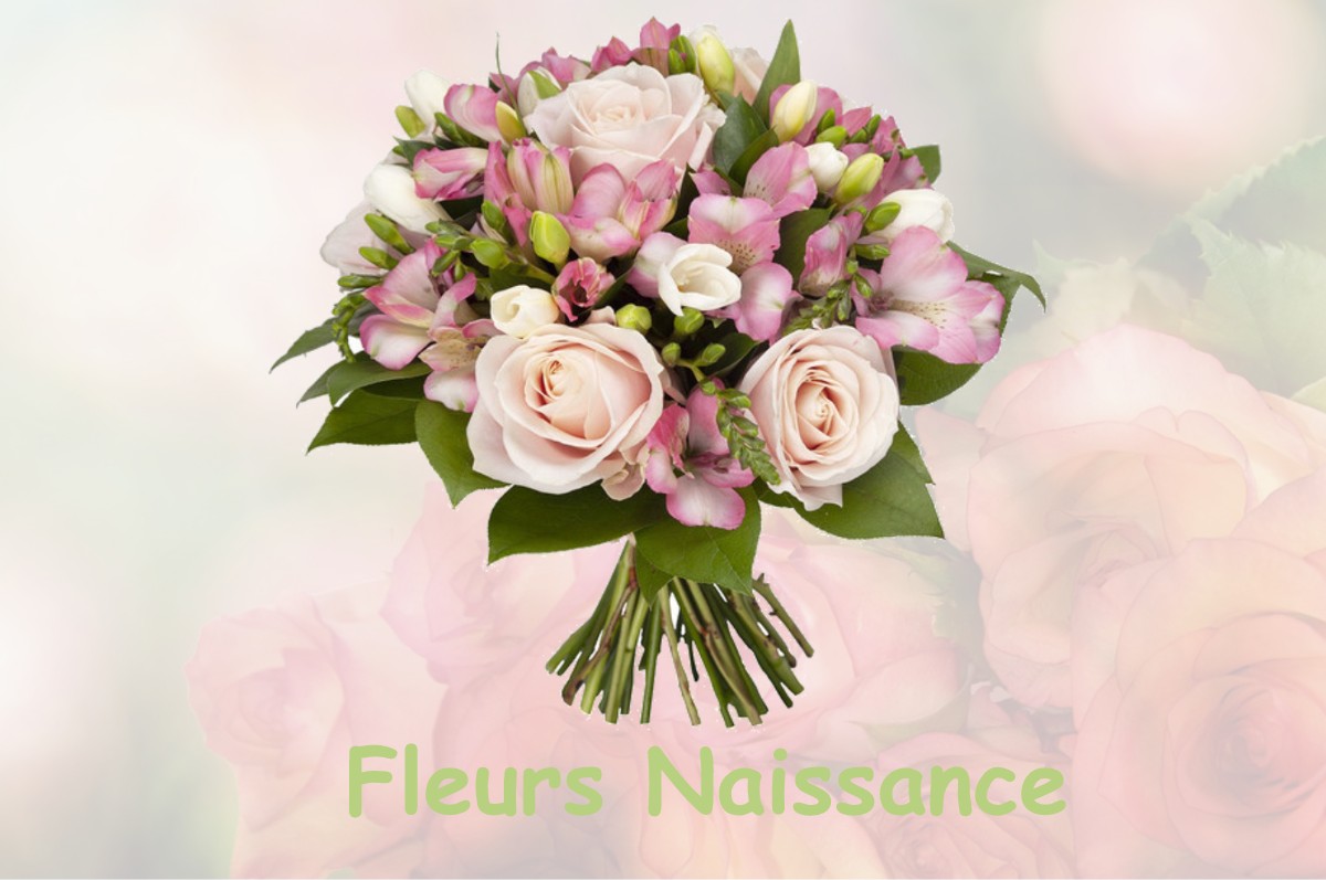 fleurs naissance SEPVIGNY