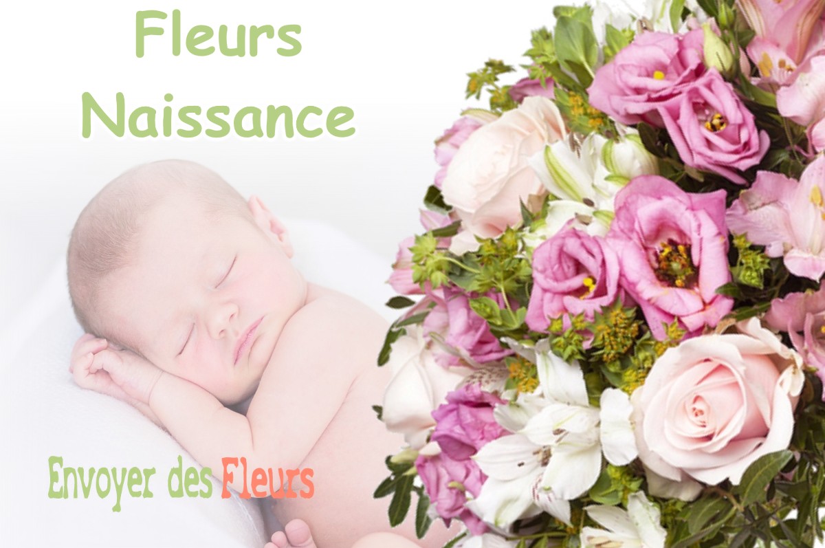 lIVRAISON FLEURS NAISSANCE à SEPVIGNY